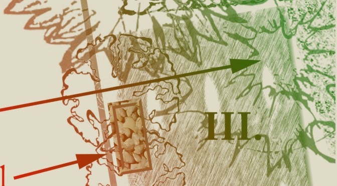 Samstag, 15. März 2025 – Offener Permakulturgarten von 11 bis 15 Uhr