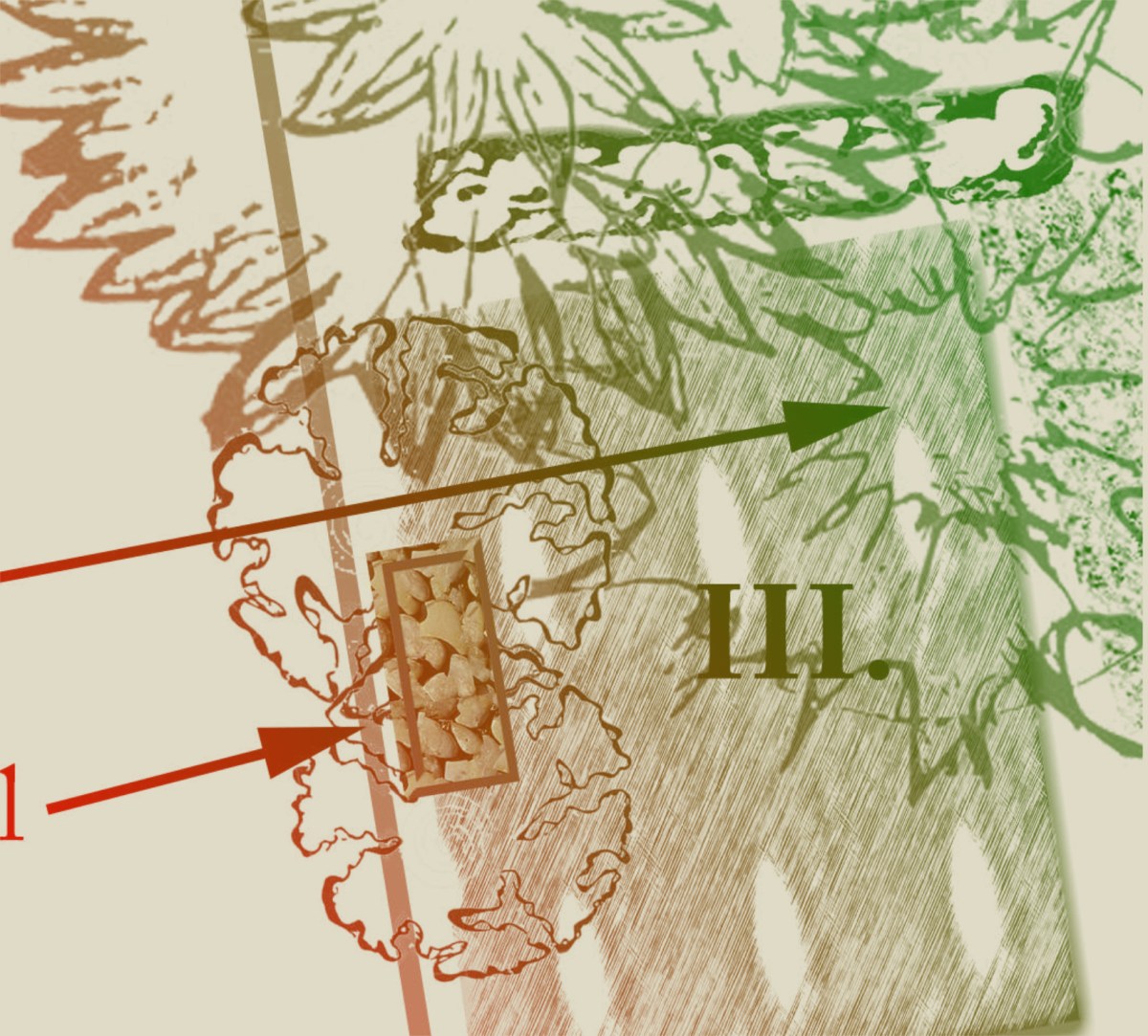 Samstag, 15. März 2025 – Offener Permakulturgarten von 11 bis 15 Uhr